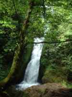 Bridal Veil Falls