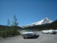 67 and 61 Convertibles