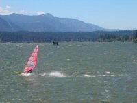 Windsurfer