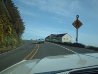 Sea Lion Caves