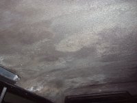 Powdery Mildew on Headliner