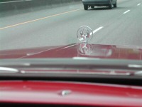 Lorens Hood Ornament