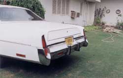 NYB Rear