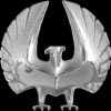 Description: Description: C:\Users\escott\Desktop\Eagles\SilverBig.jpg