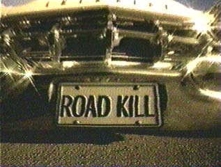 Road-Kill-Plate.jpg (18k)