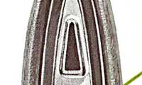 Page 7: TorqueFlite Transmission